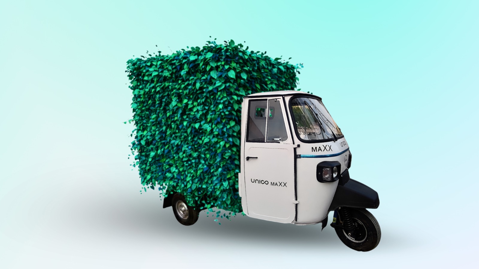 WhatsApp Image 2025-09-05 at 2.15.45 PM (1)